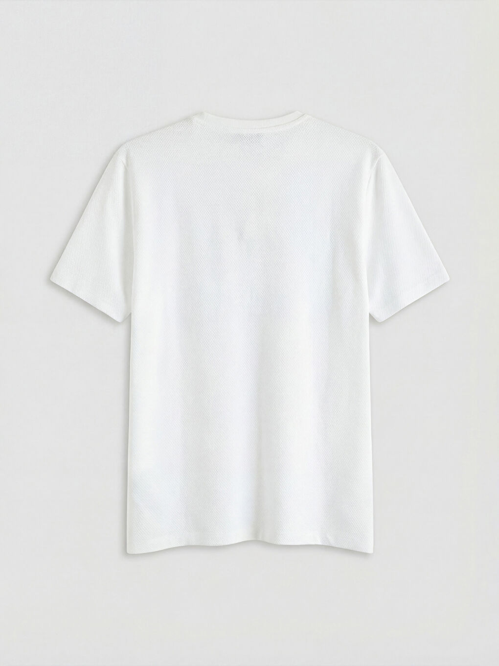 Slim Fit Crew Neck Men's T-Shirt-5