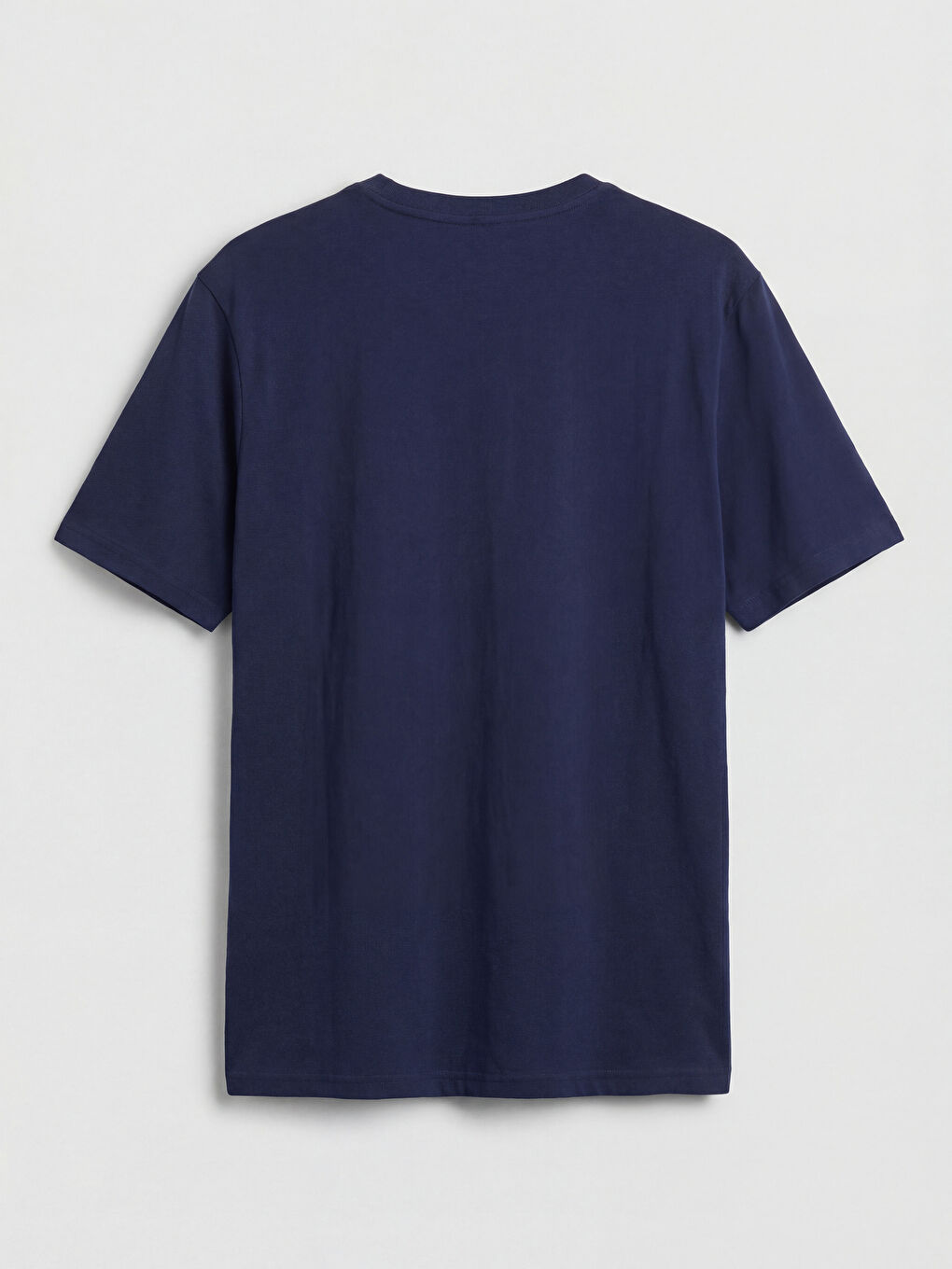 Regular Fit Crew Neck Printed Men's T-Shirt-1