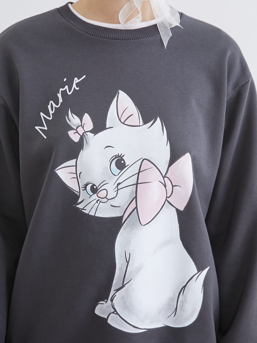 Aristocats Printed Oversize Women's Thick Sweatshirt-2