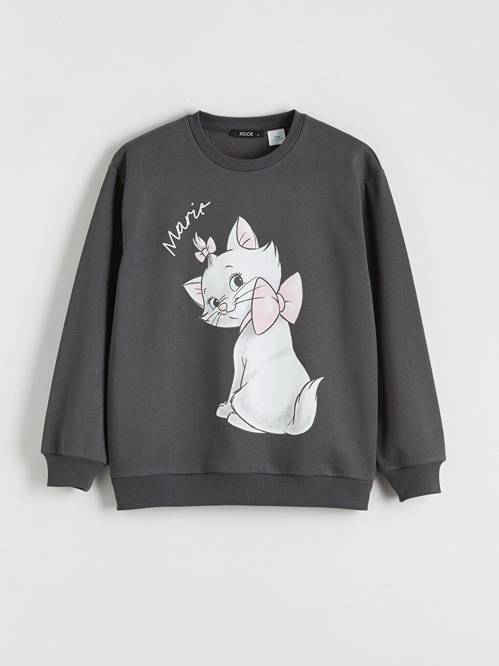 Aristocats Printed Oversize Women's Thick Sweatshirt-4