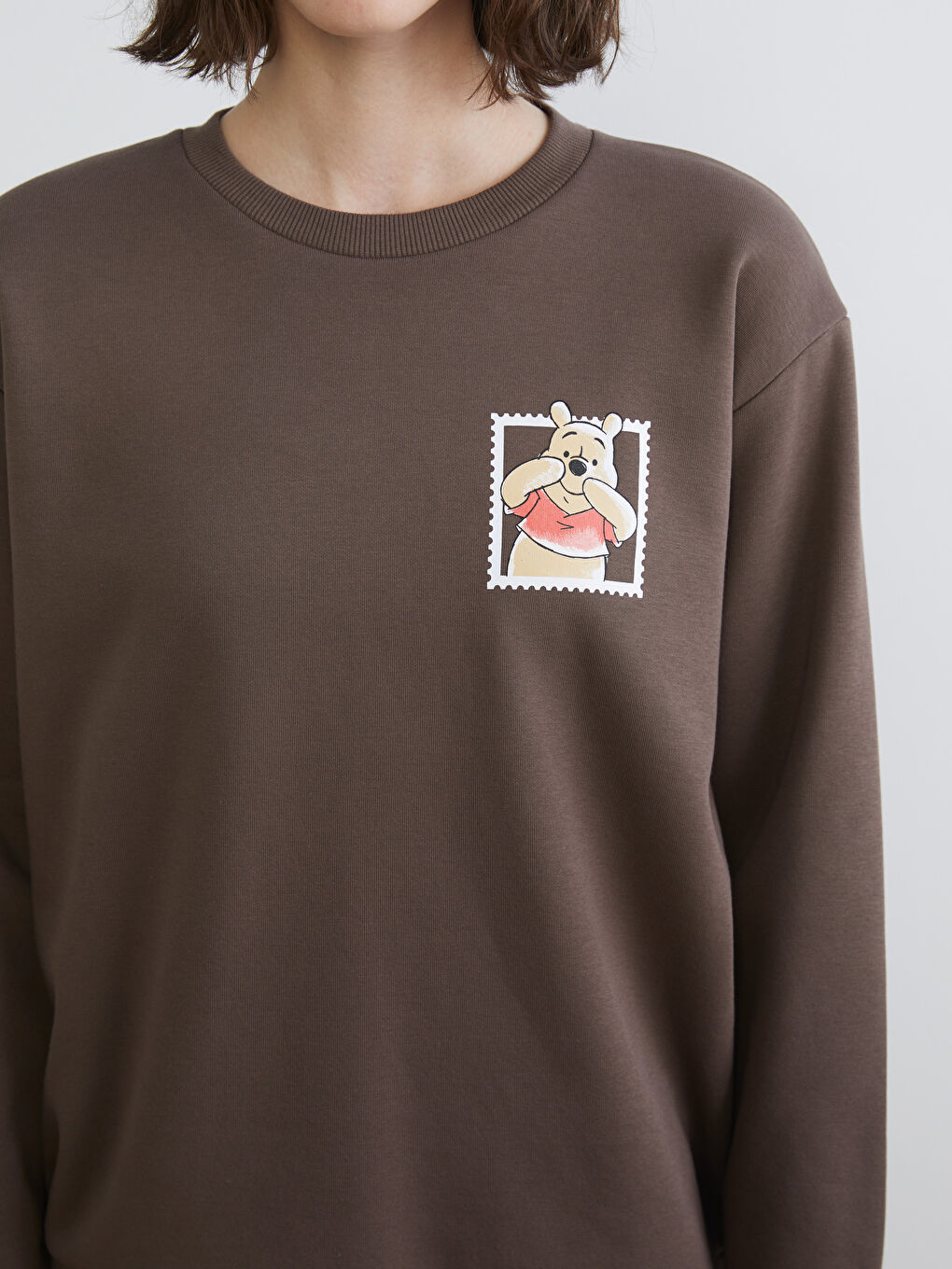 Kahverengi Winnie the Pooh Baskılı Kadın Kalın Sweatshirt-2