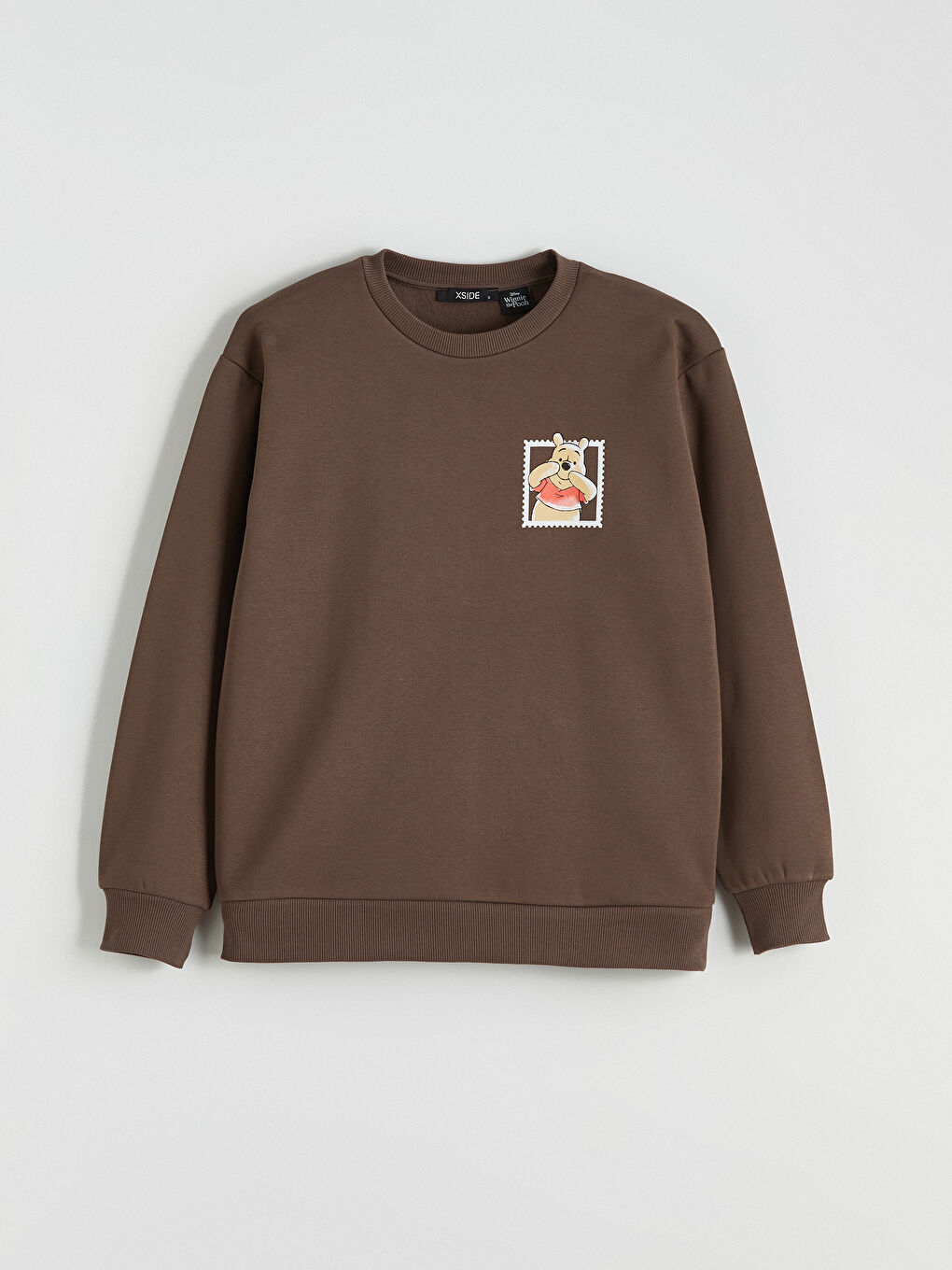Kahverengi Winnie the Pooh Baskılı Kadın Kalın Sweatshirt-3