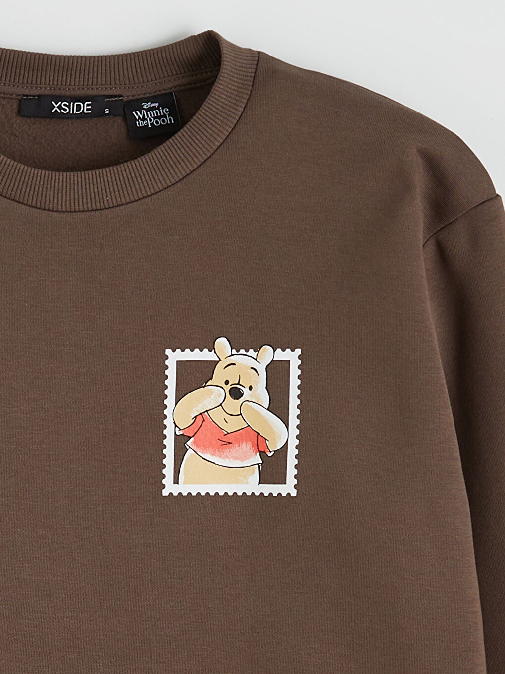 Kahverengi Winnie the Pooh Baskılı Kadın Kalın Sweatshirt-4