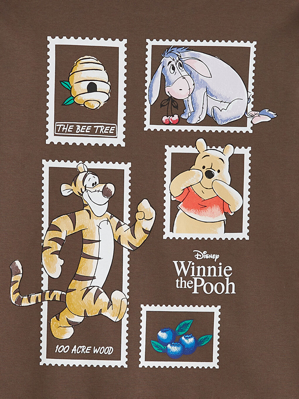 Kahverengi Winnie the Pooh Baskılı Kadın Kalın Sweatshirt-5