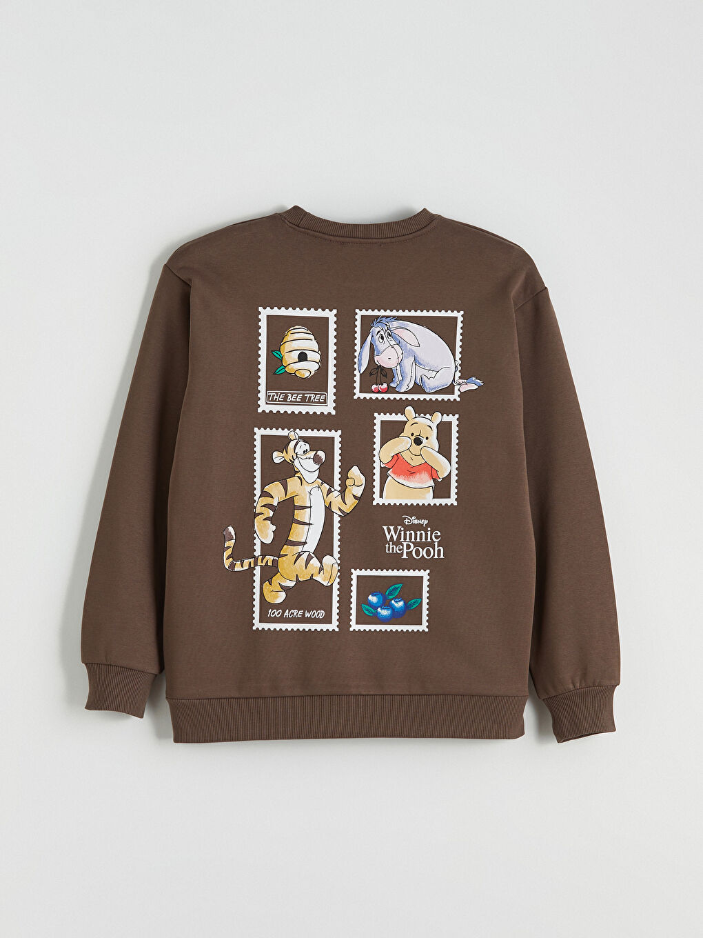 Kahverengi Winnie the Pooh Baskılı Kadın Kalın Sweatshirt-7