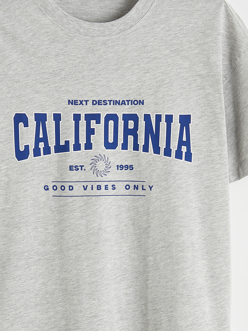 Gri Bisiklet Yaka California Baskılı Kadın Tişört-5