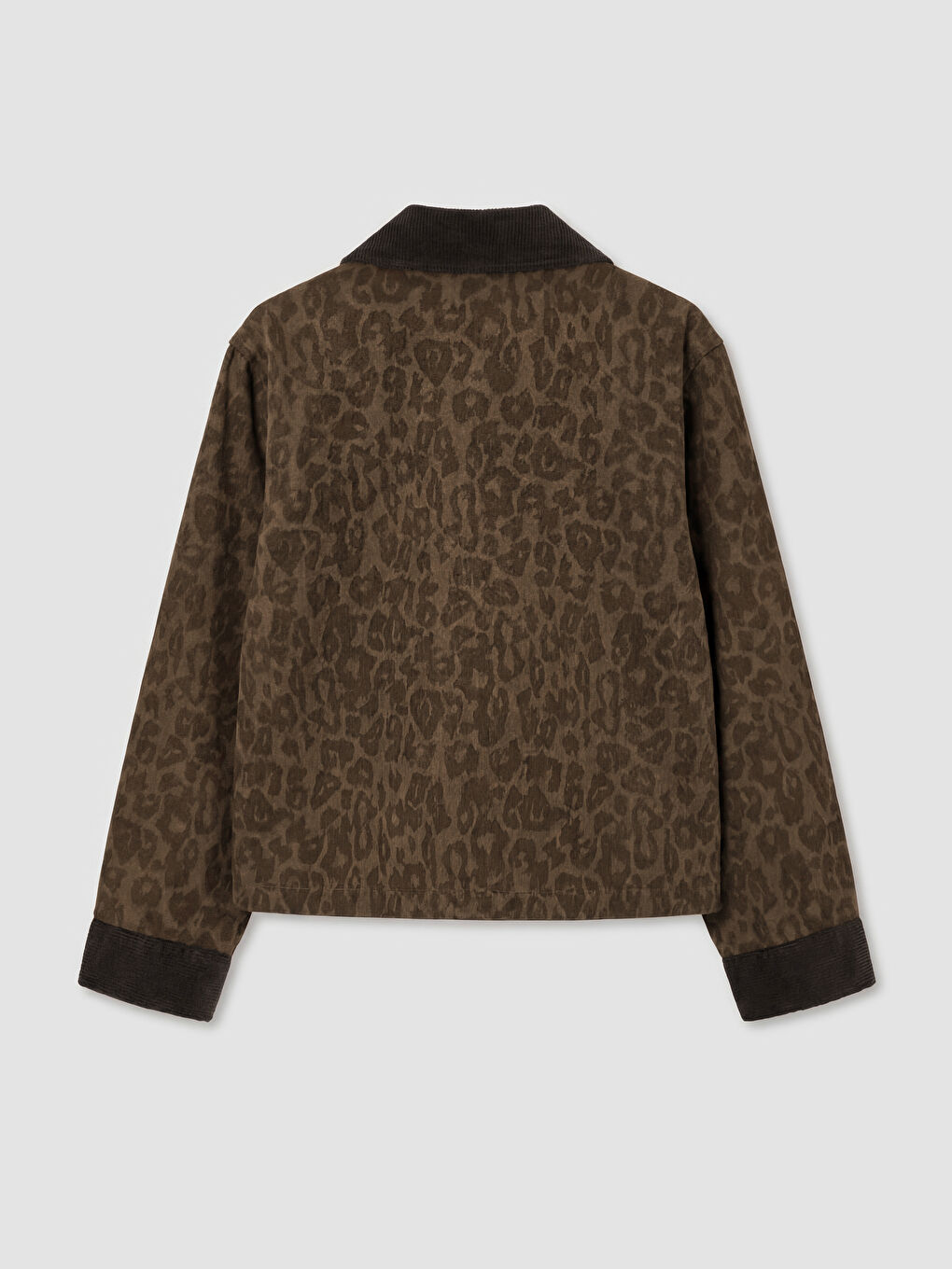 Kahverengi Kadife Yaka Leopar Desenli Oversize Kadın Jean Ceket-1