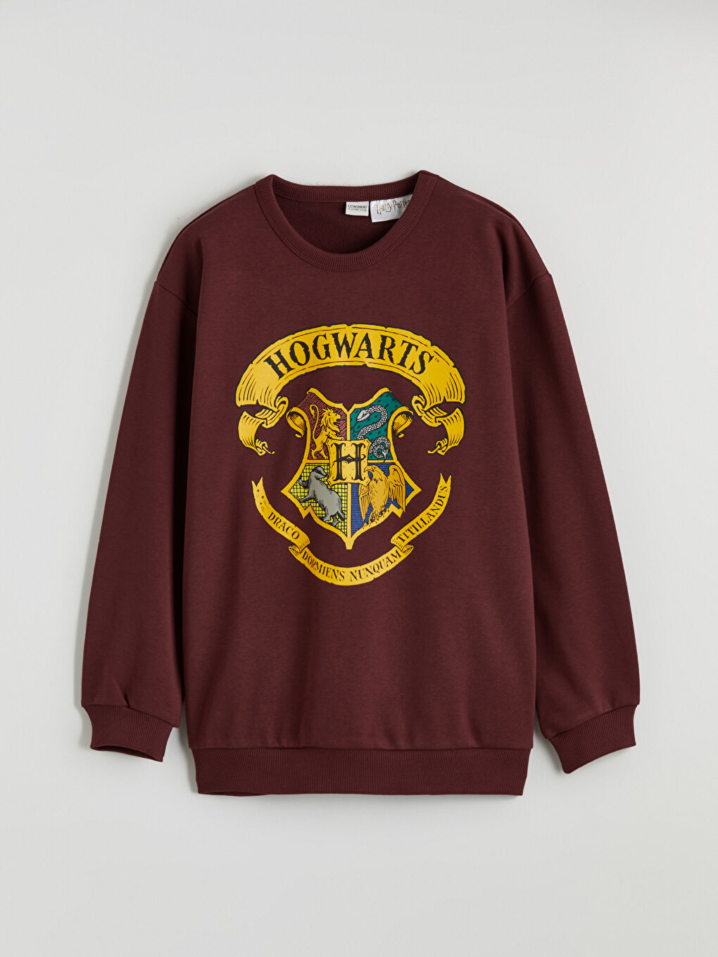 Boys' Harry Potter Print Sweatshirt