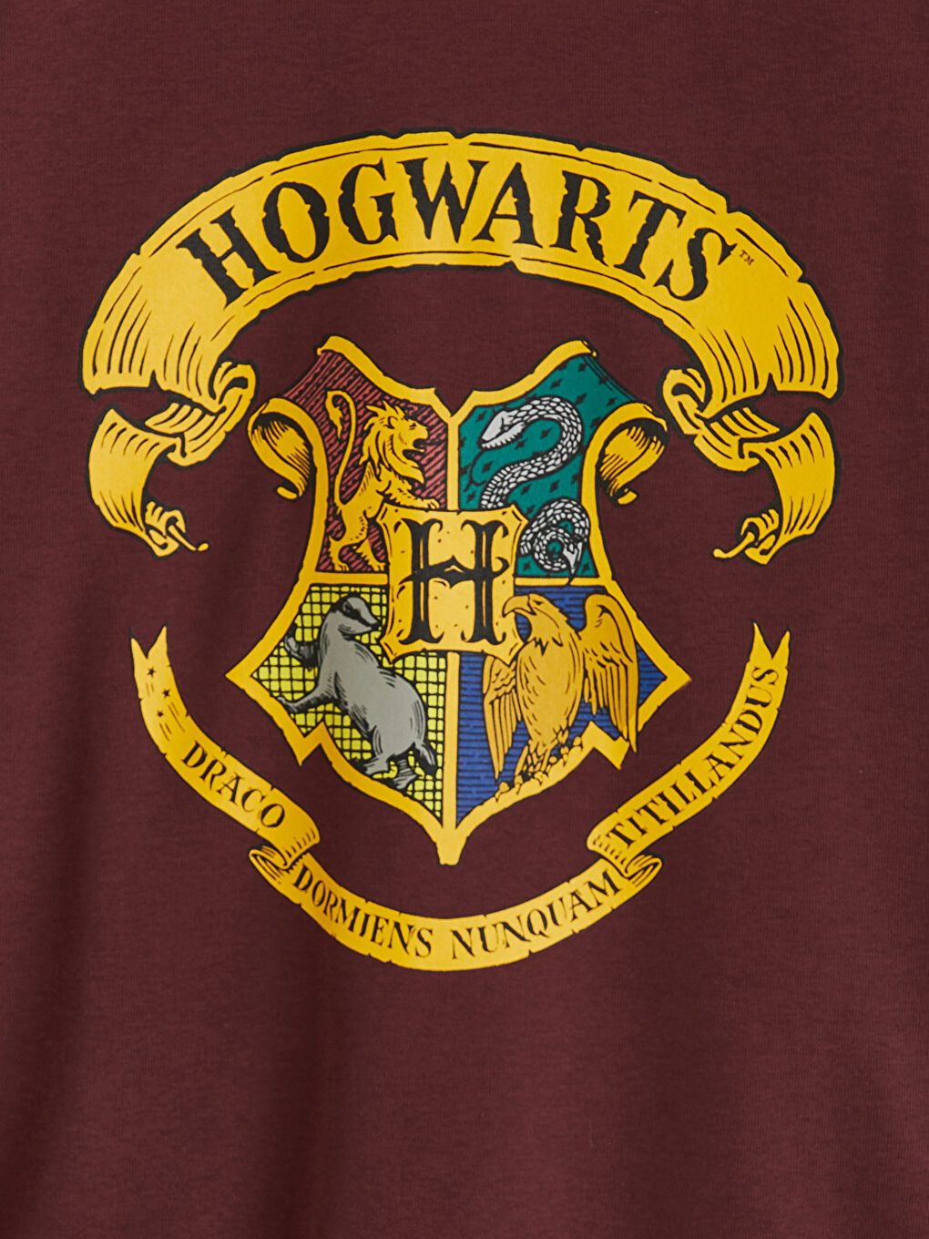 Boys' Harry Potter Print Sweatshirt-1