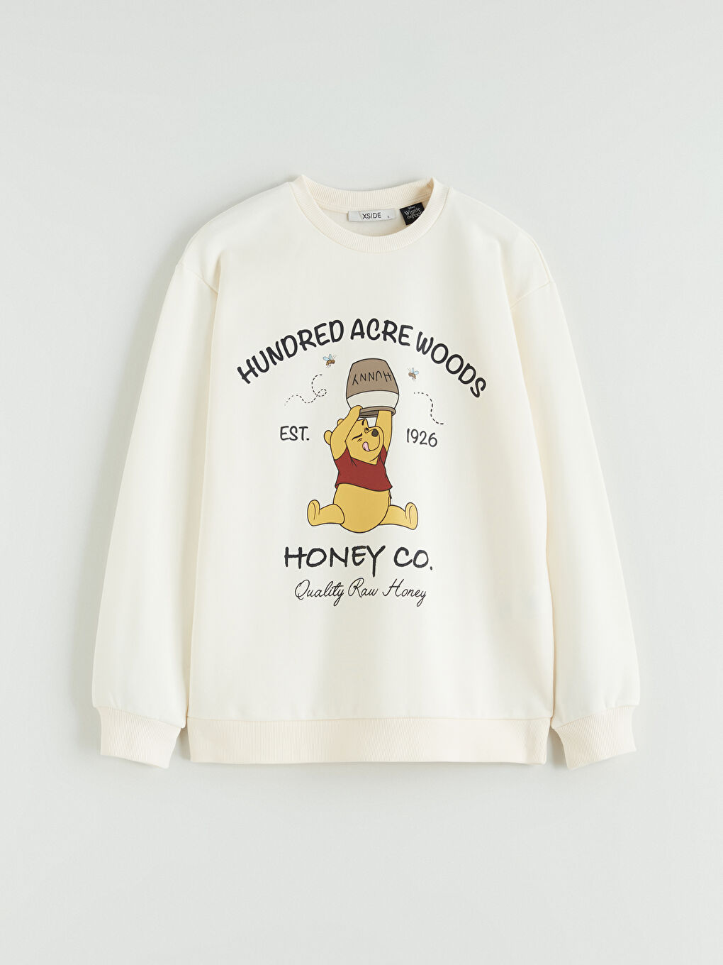 Bej Winnie the Pooh Baskılı Oversize Kadın Sweatshirt