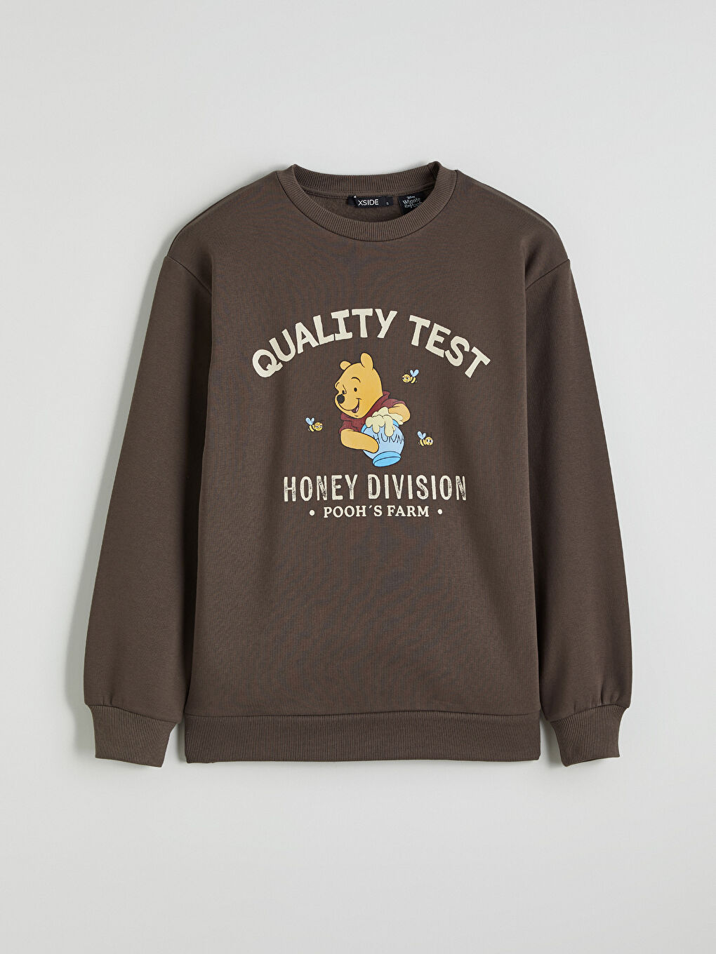 Kahverengi Winnie the Pooh Baskılı Kadın Kalın Sweatshirt-4