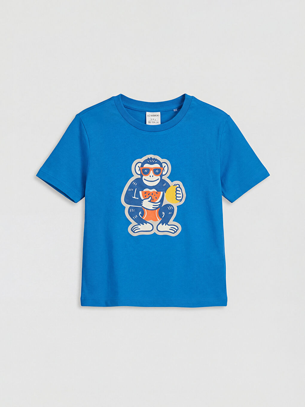 Mavi Maymun Baskılı Erkek Çocuk Takım-1