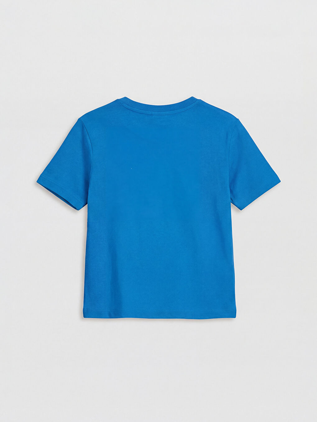 Mavi Maymun Baskılı Erkek Çocuk Takım-2