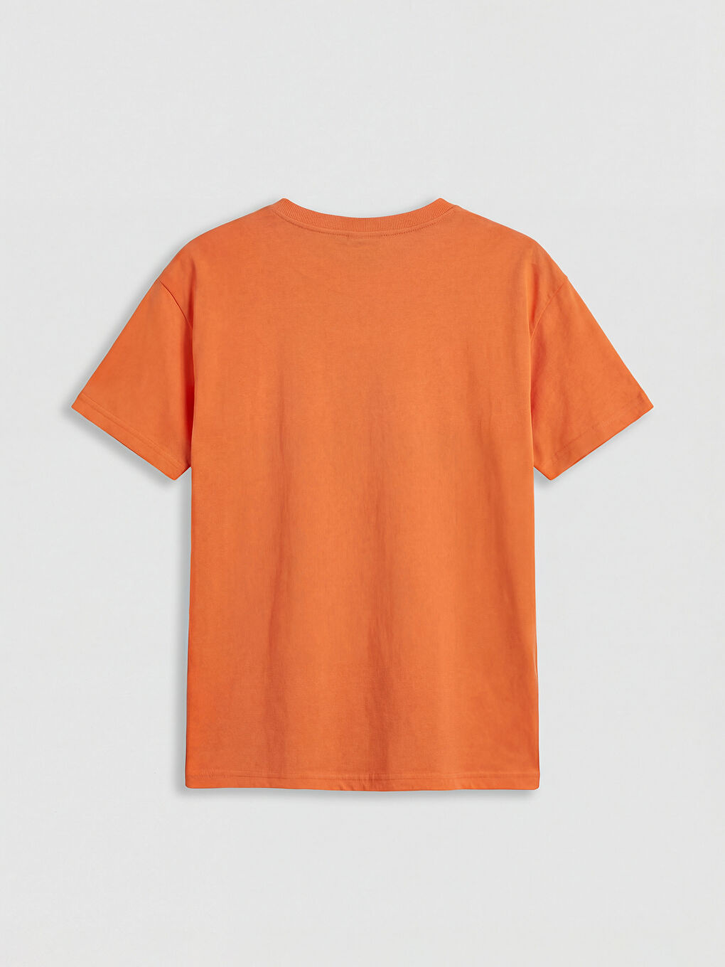 Crew Neck Printed Boys' T-Shirt-1