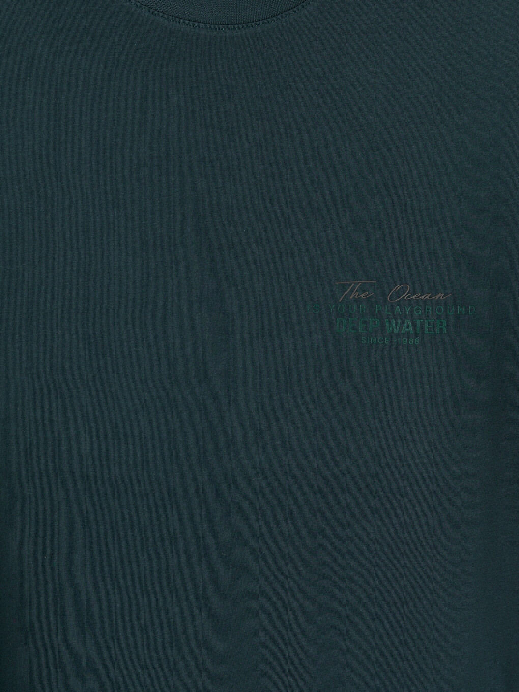 Crew Neck Printed Men's T-shirt-5