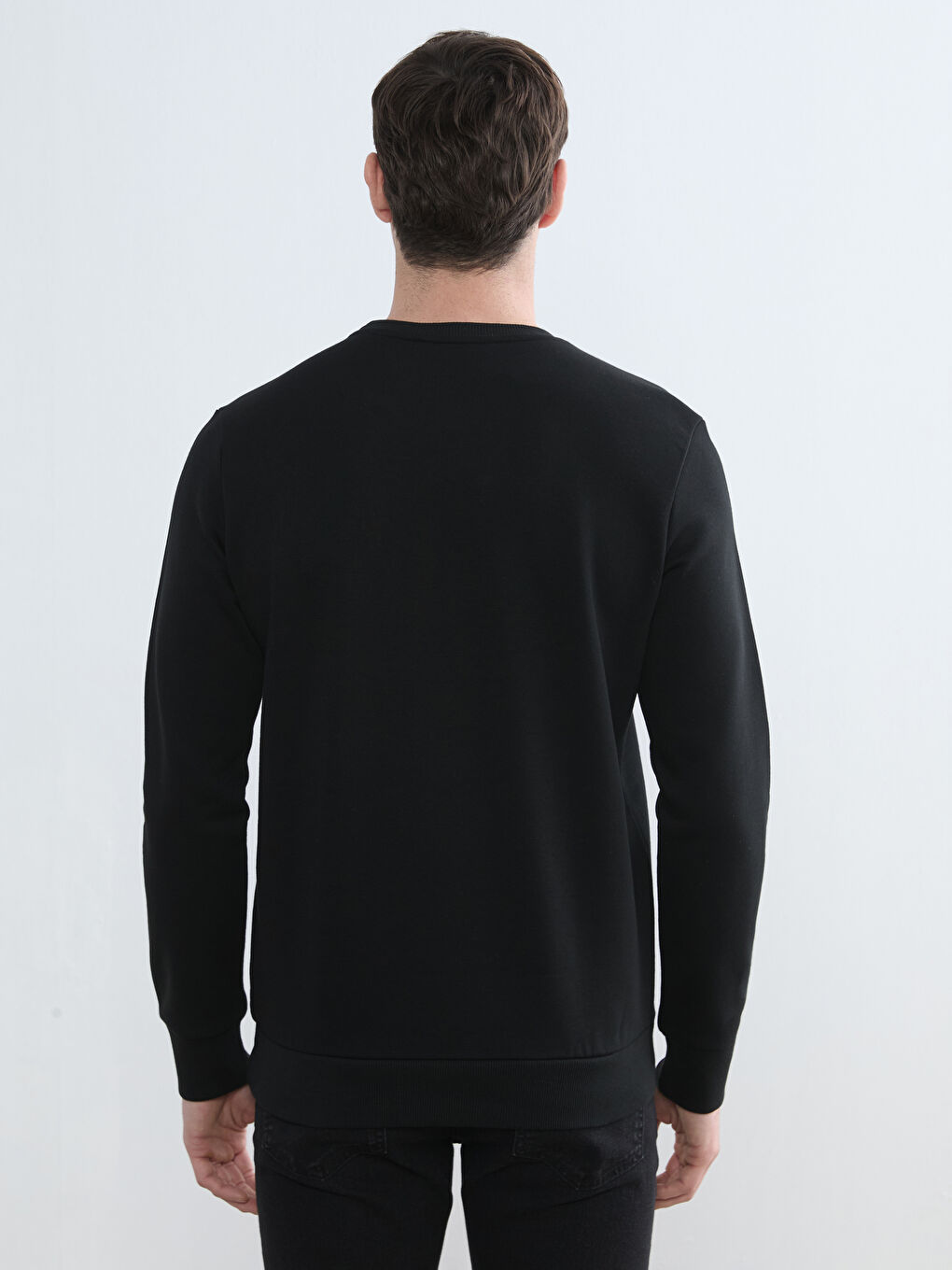 Men's Crew Neck Printed Heavy Sweatshirt-3