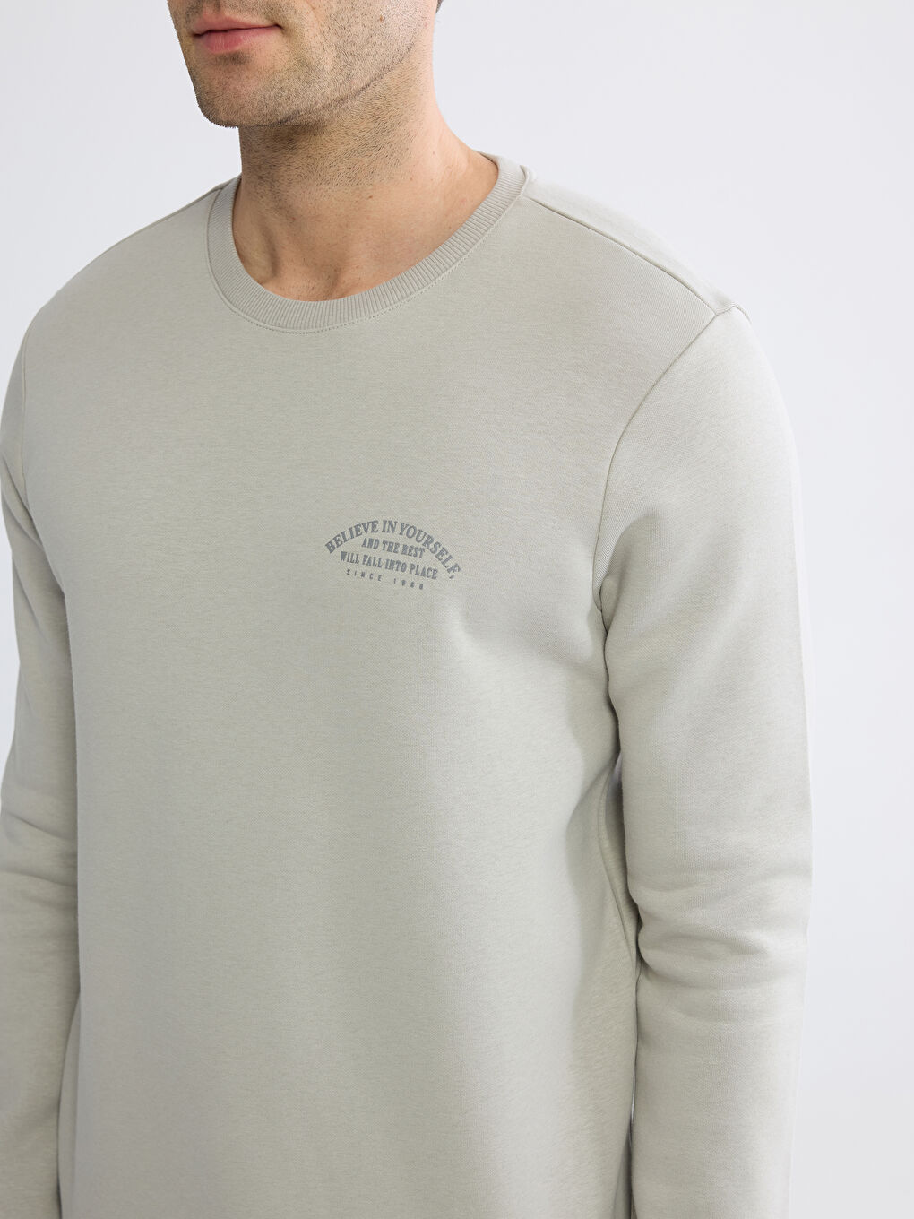 Men's Crew Neck Printed Heavy Sweatshirt-2