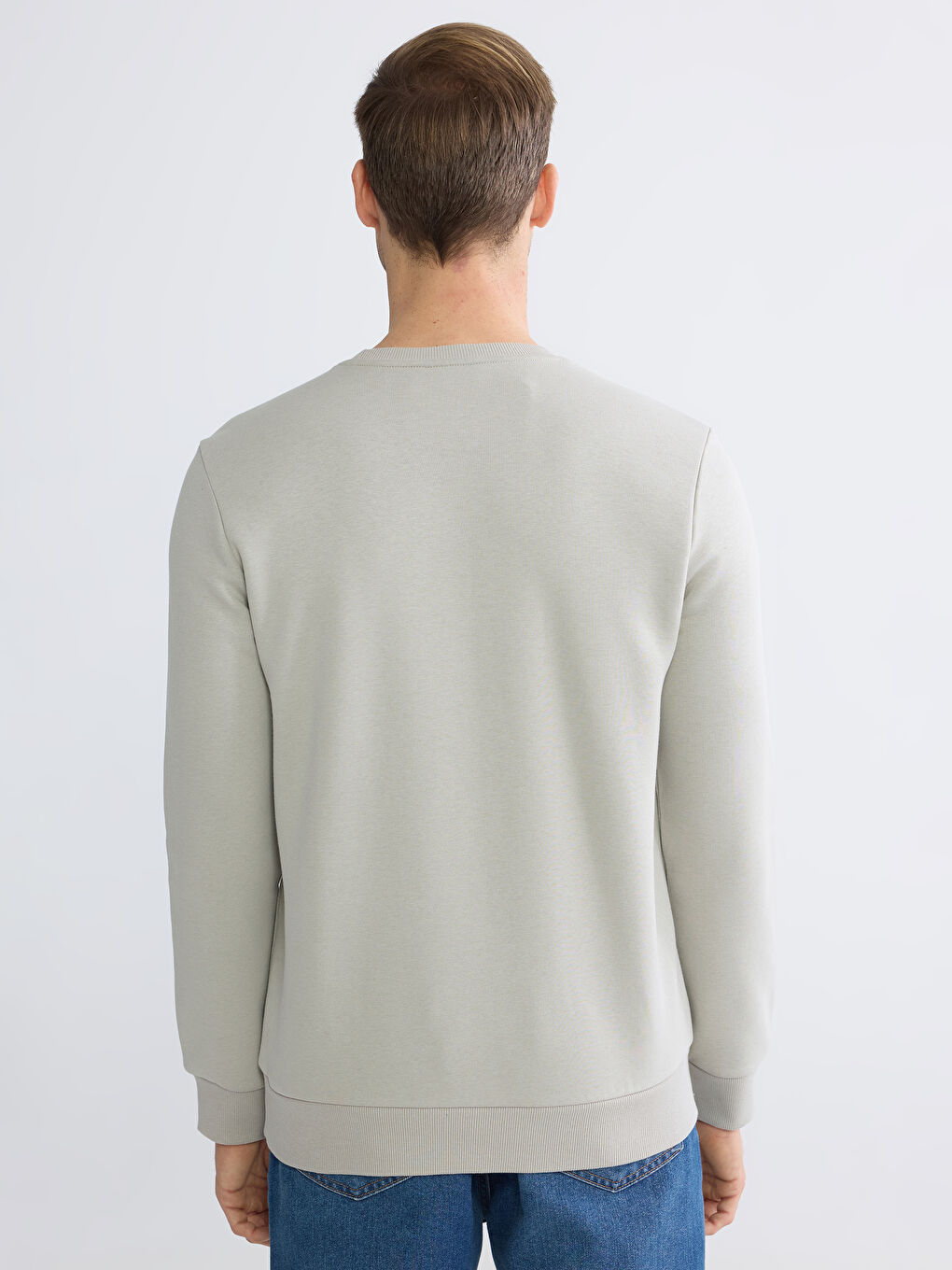 Men's Crew Neck Printed Heavy Sweatshirt-3