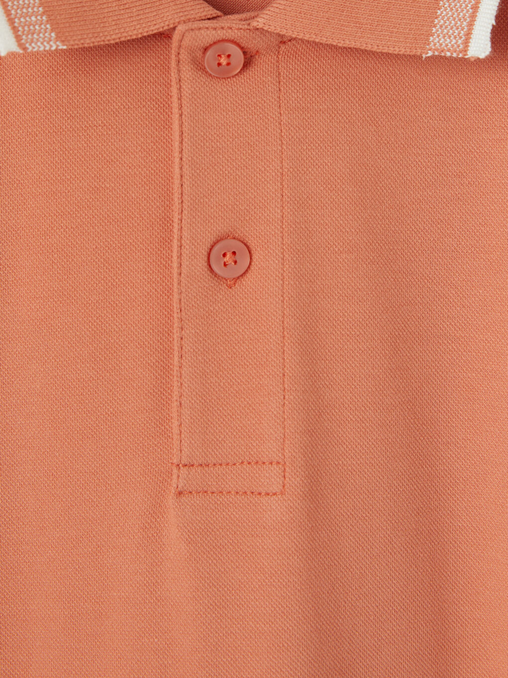 Mercan Standart Fit Polo Yaka Erkek Tişört-2