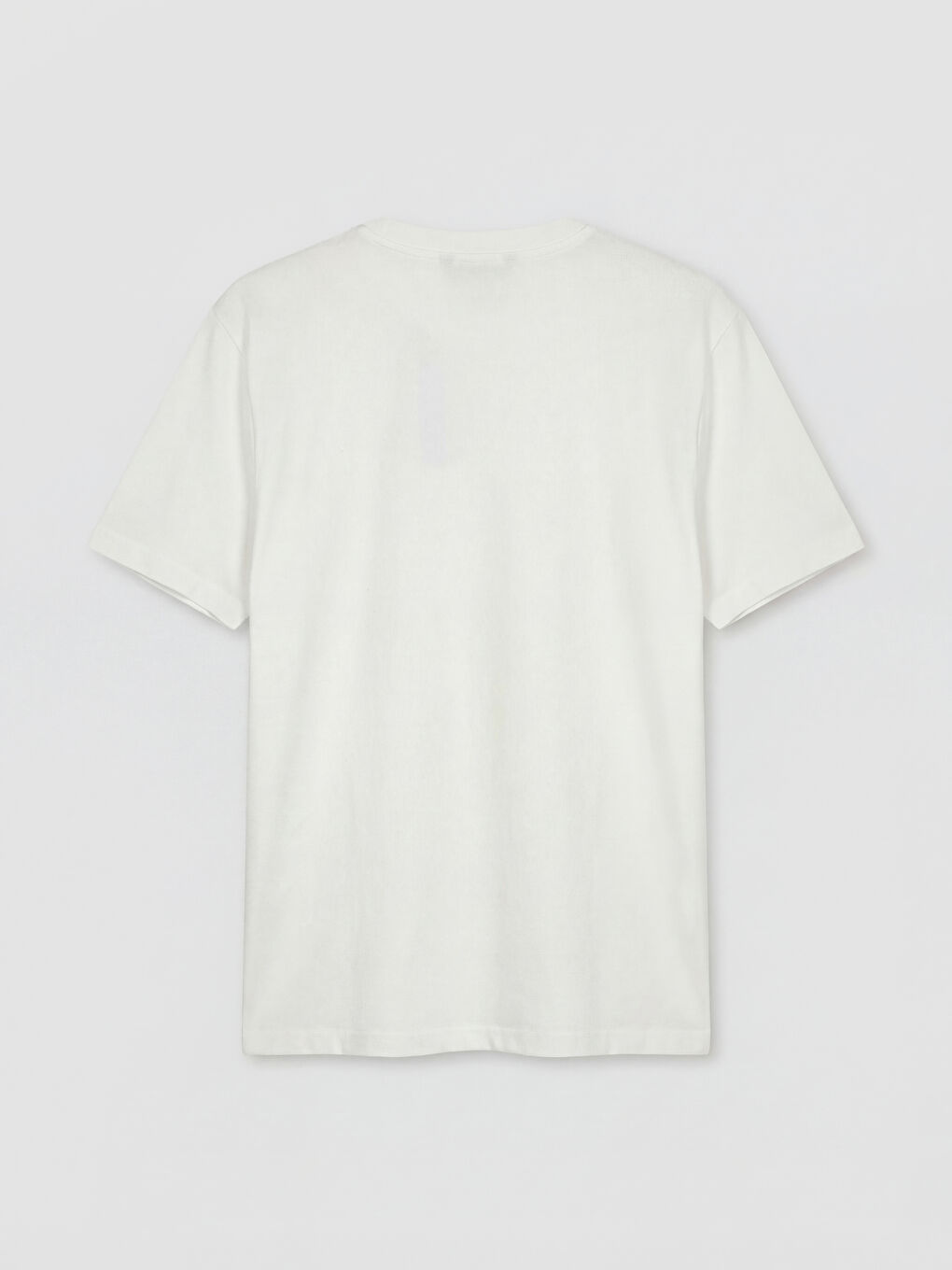 Crew Neck Printed Men's T-Shirt-4
