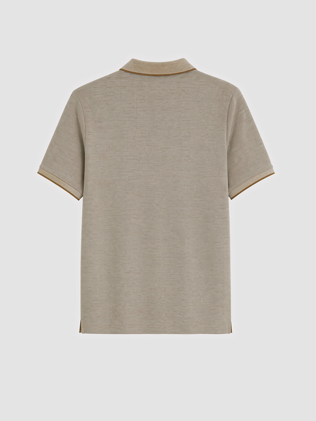 Standard Fit Polo Collar Men's T-Shirt-1