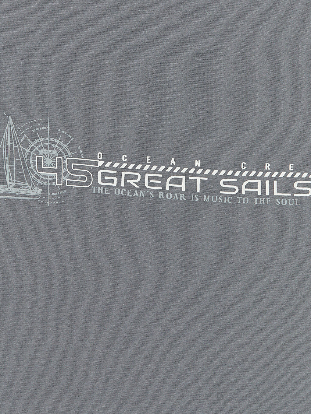 Gri Bisiklet Yaka Baskılı Penye Erkek Kolsuz Tişört-2