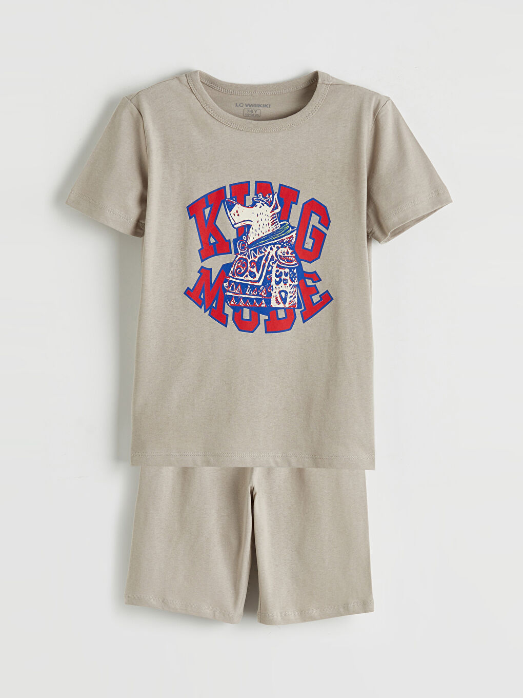 Gri Erkek Çocuk Baskılı Tişört ve Şort