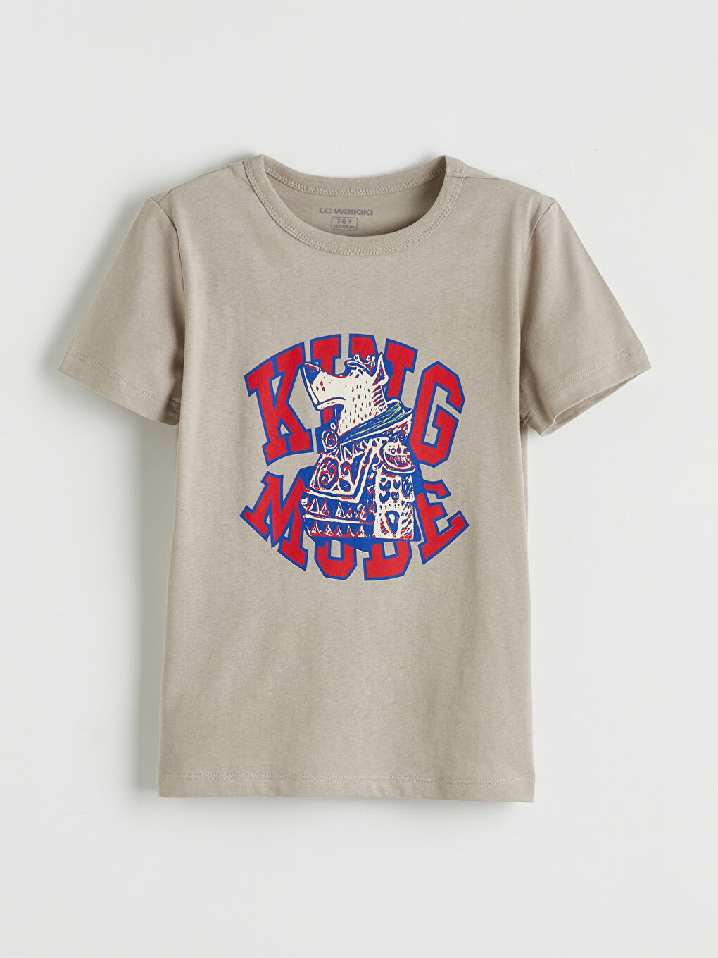 Gri Erkek Çocuk Baskılı Tişört ve Şort-1