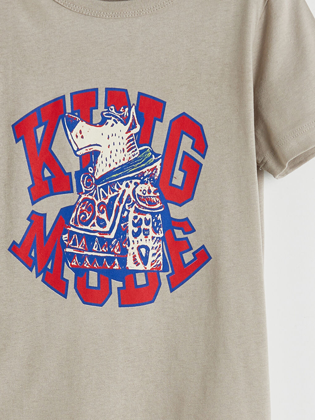 Gri Erkek Çocuk Baskılı Tişört ve Şort-5