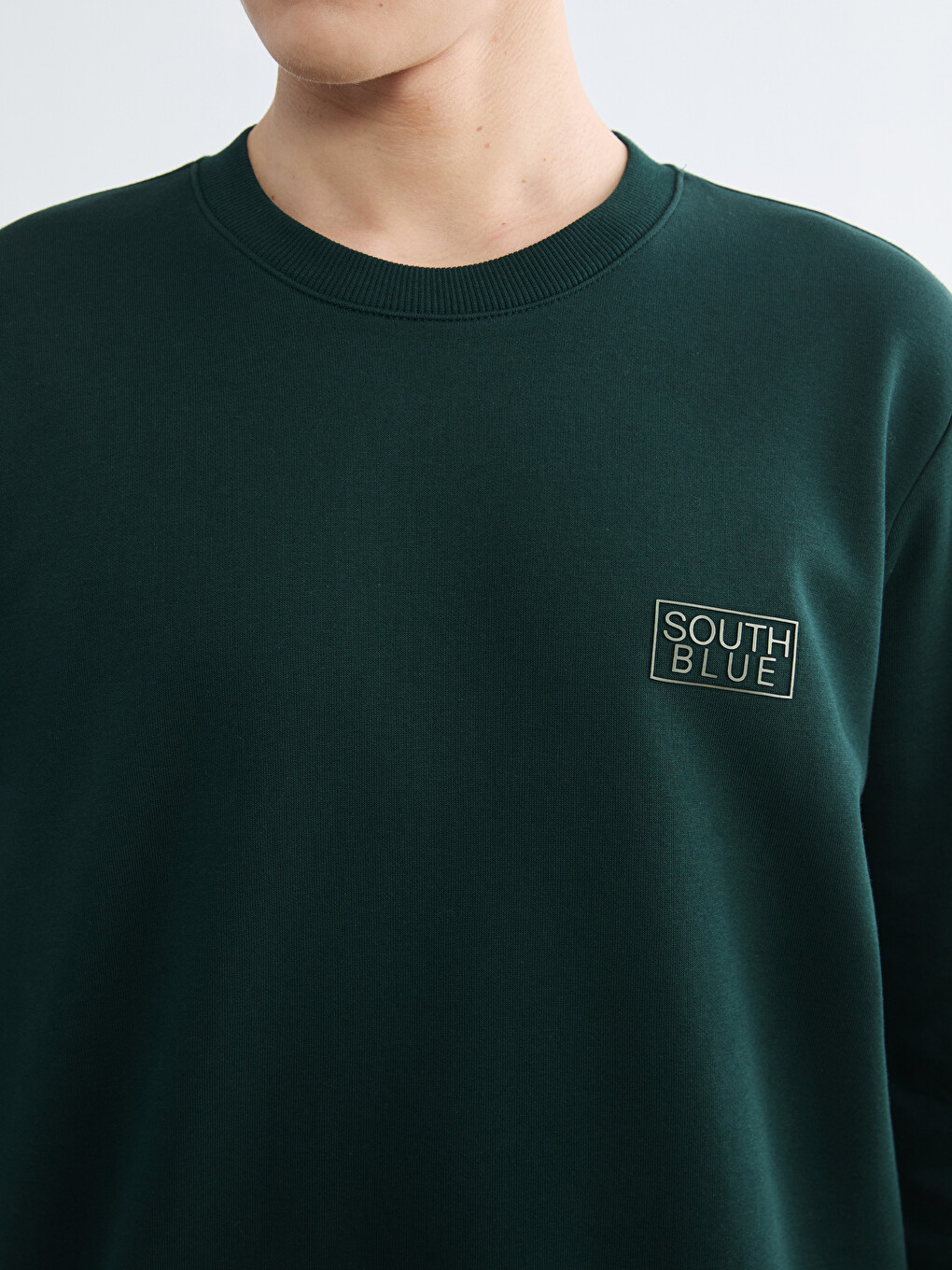 Crew Neck Printed Men's Thick Sweatshirt-2