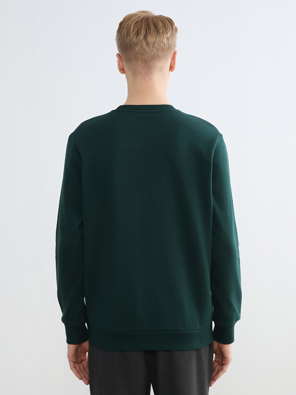 Crew Neck Printed Men's Thick Sweatshirt-3