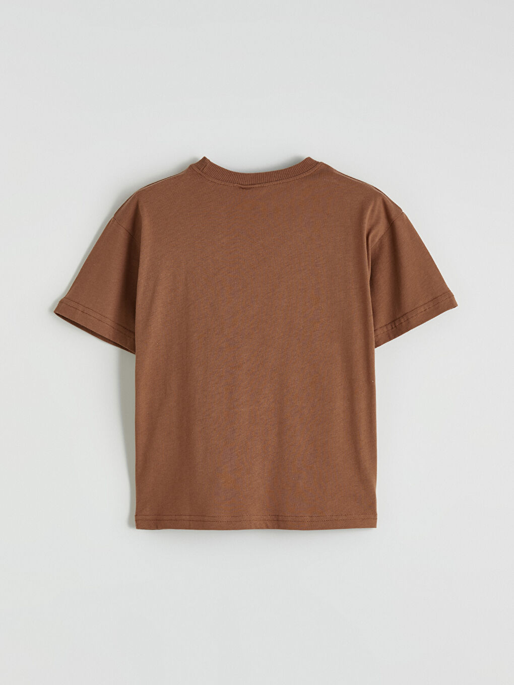 Kahverengi Aslan Kral Baskılı Erkek Çocuk Tişört-2