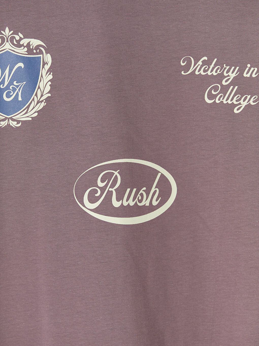 Pembe Bisiklet Yaka Baskılı Penye Erkek Tişört-6