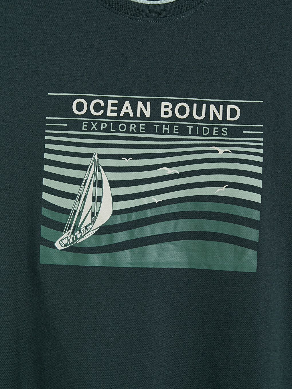 Crew Neck Printed Men's T-Shirt-2