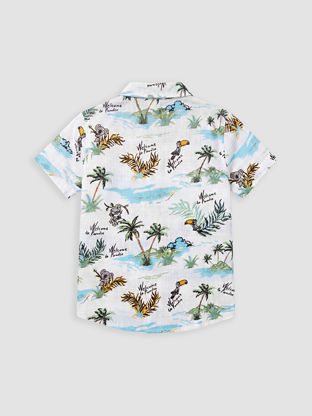 Boy Ecru Shirt-1