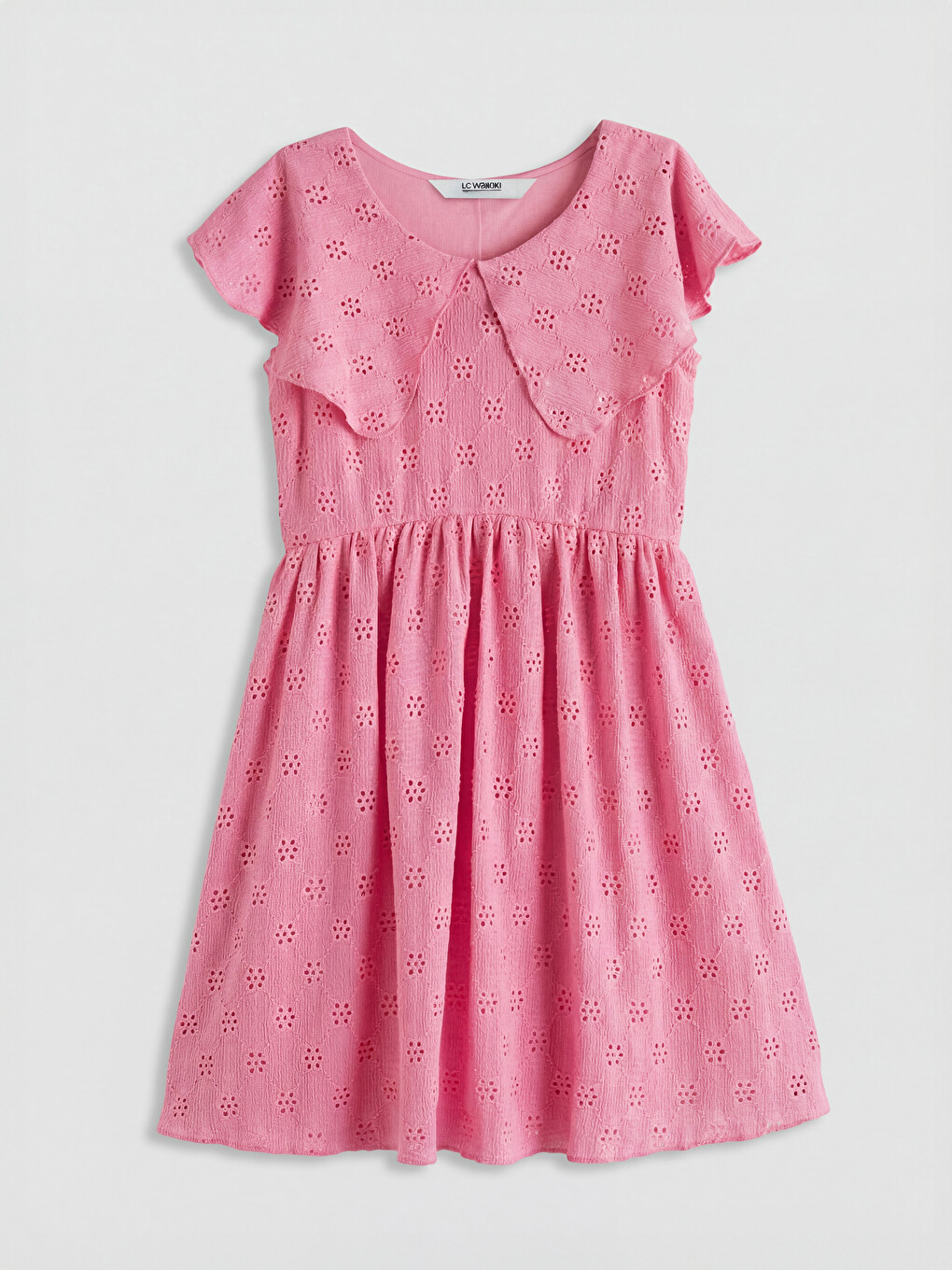 Peter Pan Collar Embroidered Girls' Dress