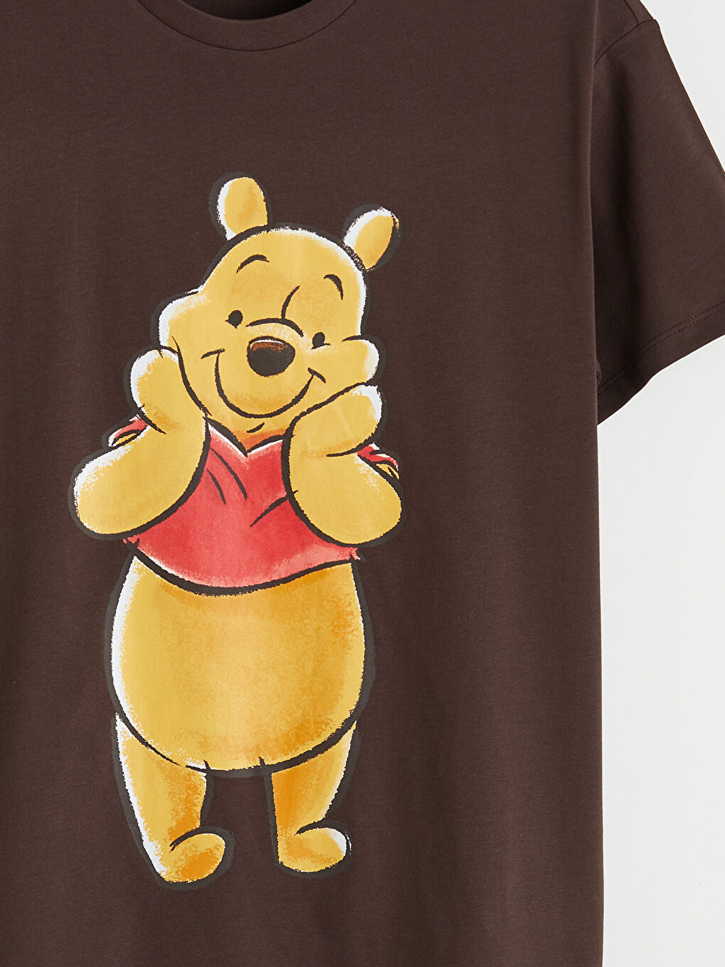 Kahverengi Winnie the Pooh Baskılı Kadın Tişört-5