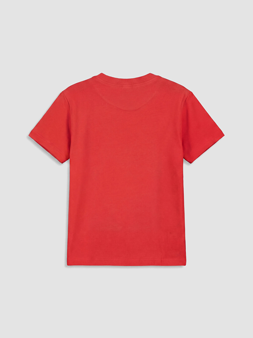 Crew Neck Printed Boys' T-Shirt-2