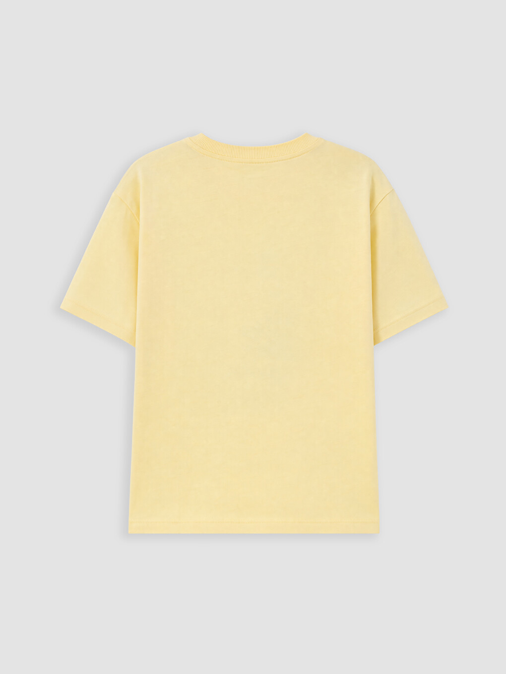 Crew Neck Printed Boys' T-Shirt 2 Pack-3