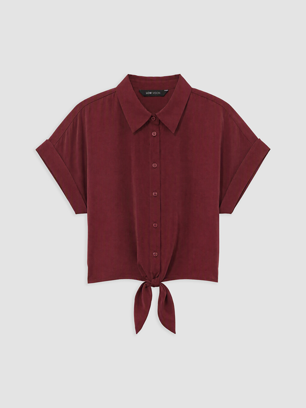 Woman Brown Shirt