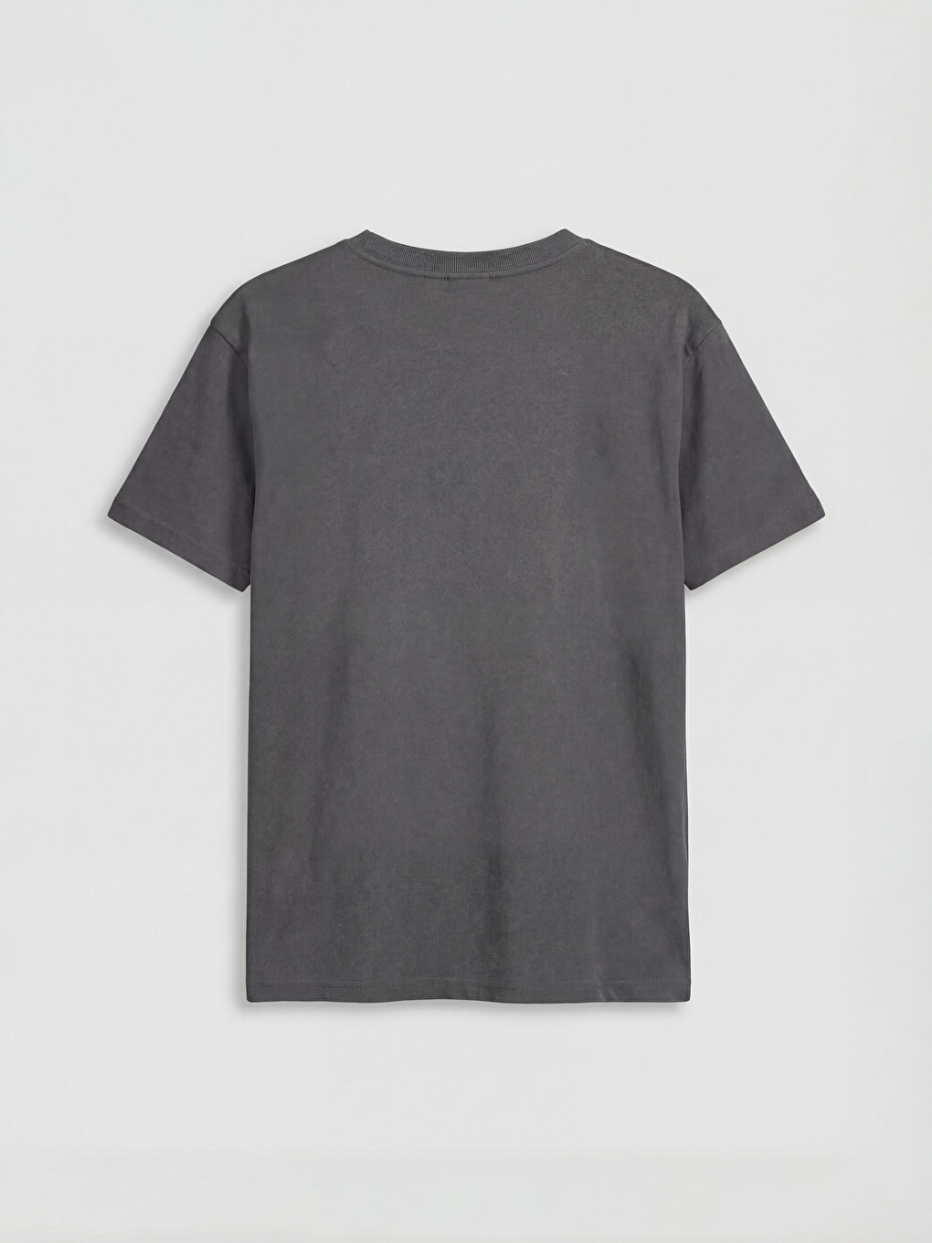 Crew Neck Printed Boys' T-shirt-1