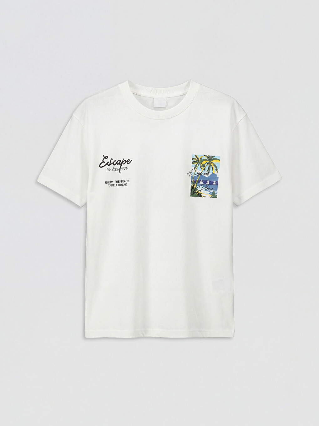 Crew Neck Printed Boys' T-shirt-3