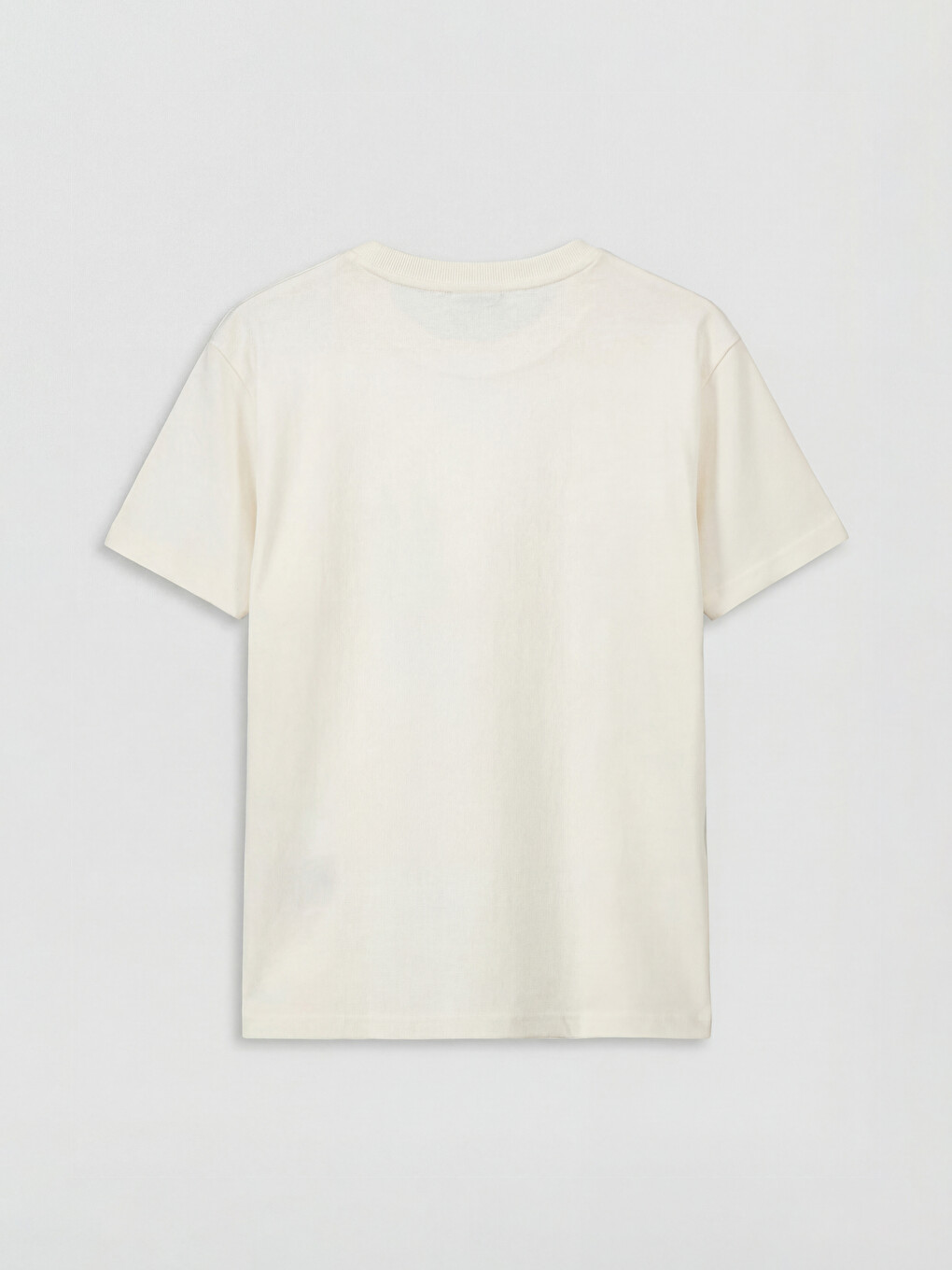 Crew Neck Printed Boys' T-Shirt-1