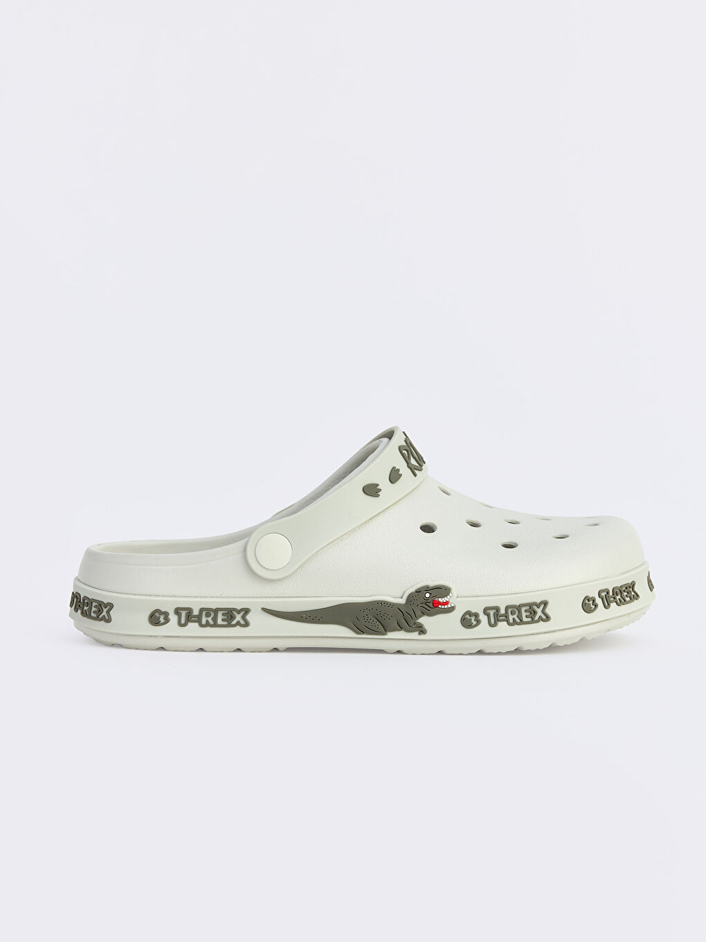 Bej Dinozor Baskılı Erkek Çocuk Plaj Sandaleti-1