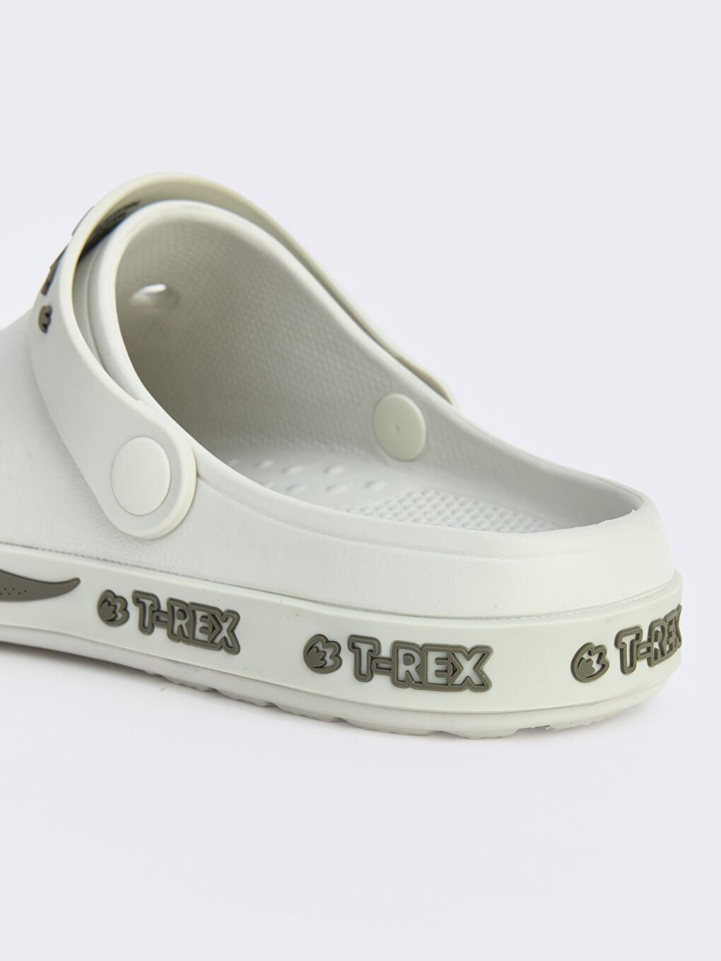 Bej Dinozor Baskılı Erkek Çocuk Plaj Sandaleti-4