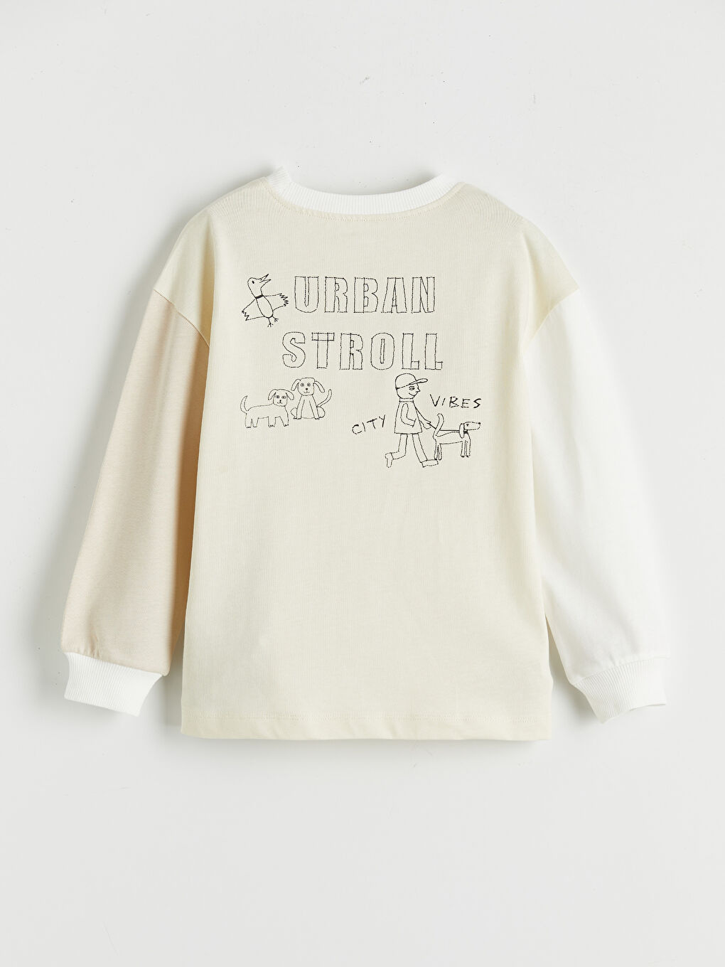 Bej Bisiklet Yaka Renk Bloğu Erkek Çocuk Sweatshirt-2