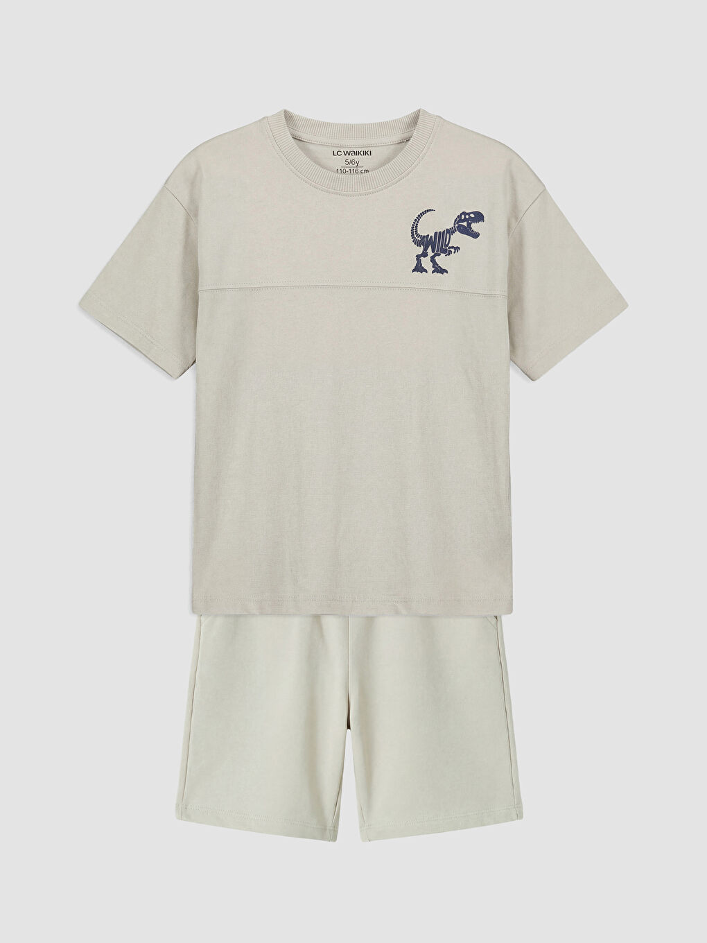 Gri Dinozor Baskılı Erkek Çocuk Tişört ve Şort Takım