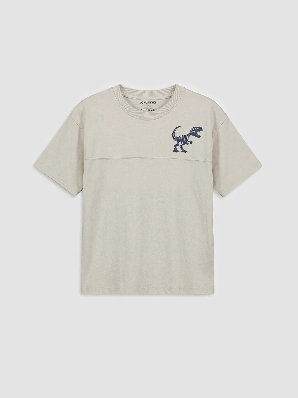 Gri Dinozor Baskılı Erkek Çocuk Tişört ve Şort Takım-1