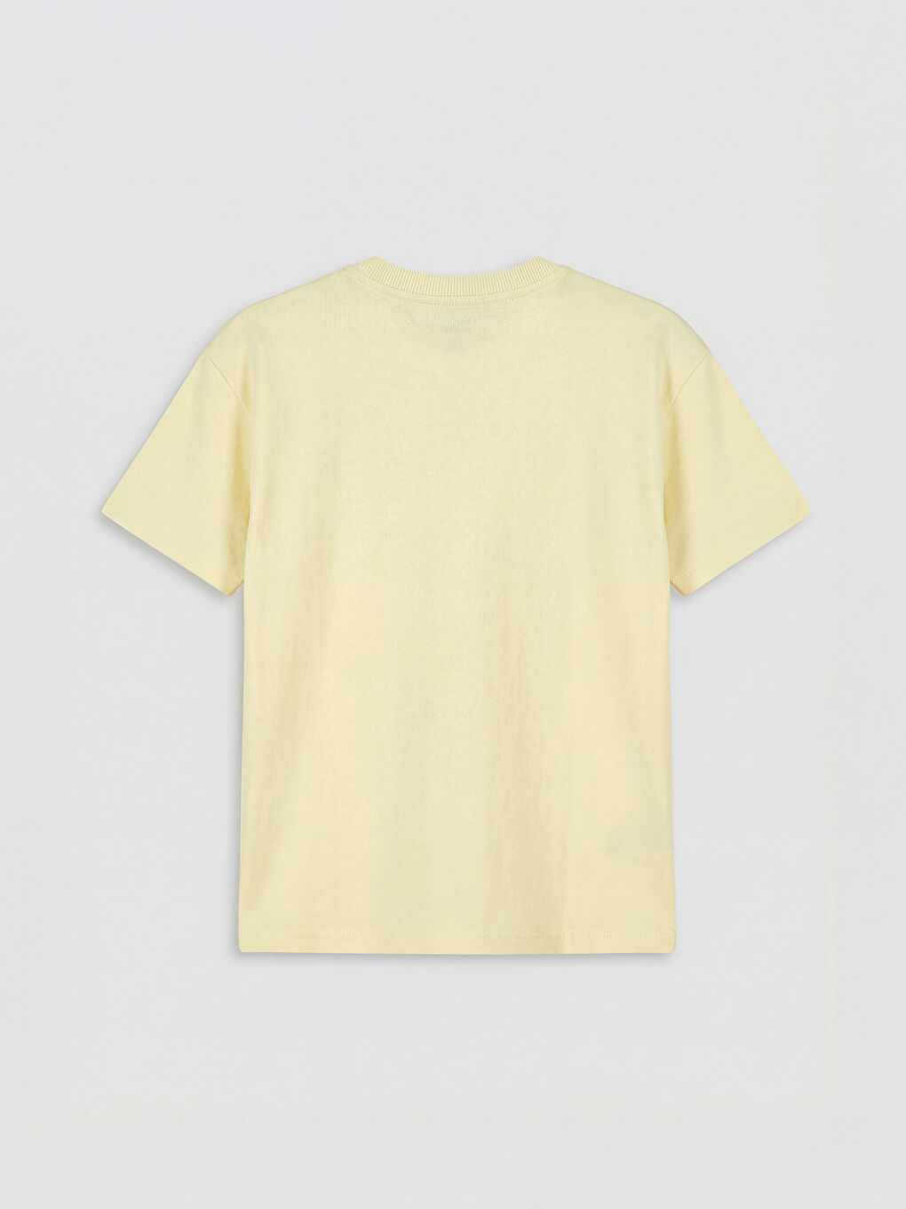 Sarı Dinozor Baskılı Erkek Çocuk Tişört ve Şort Takım-3