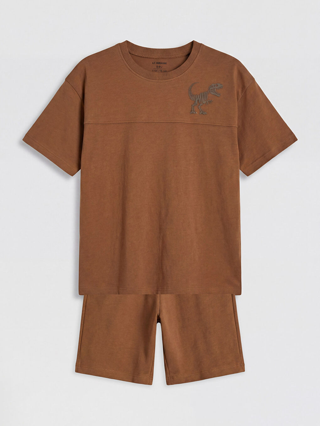 Kahverengi Dinozor Baskılı Erkek Çocuk Tişört ve Şort Takım